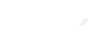 Capgemini